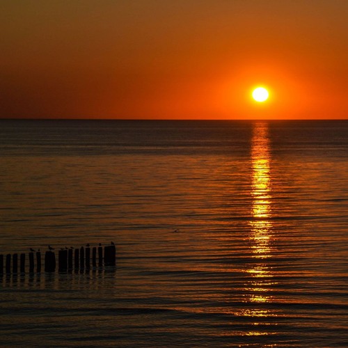 love on fire- kings of leon, improvisational piano