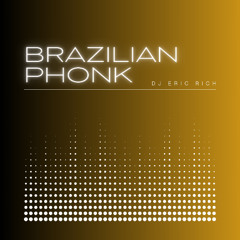 DJ Eric Rich - Brazilian Phonk (Funky Purrfection Mix)