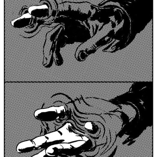 Where The False Moon Shines