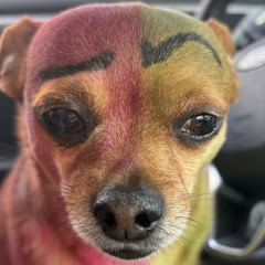 katy perry - teenage dream (pluggnb flip)