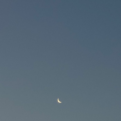 Nightscape (2022) [Live performance]