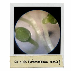 neyo - so sick (simerdown remix) // free download