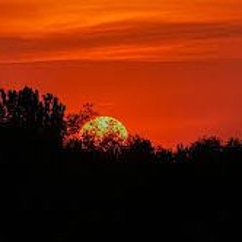 SUNDOWNING AT THE O.K. CORRAL