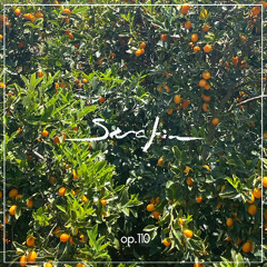 Serafin Sinfonia Op. 110 - Somko - Mind & Heart