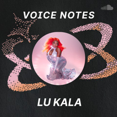 Voice Notes: LU KALA on "Who's Gonna"