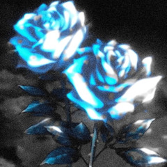 madk1d - MARTINE ROSE (sped up)