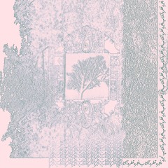 Har Ja Miri (هر جا میری)