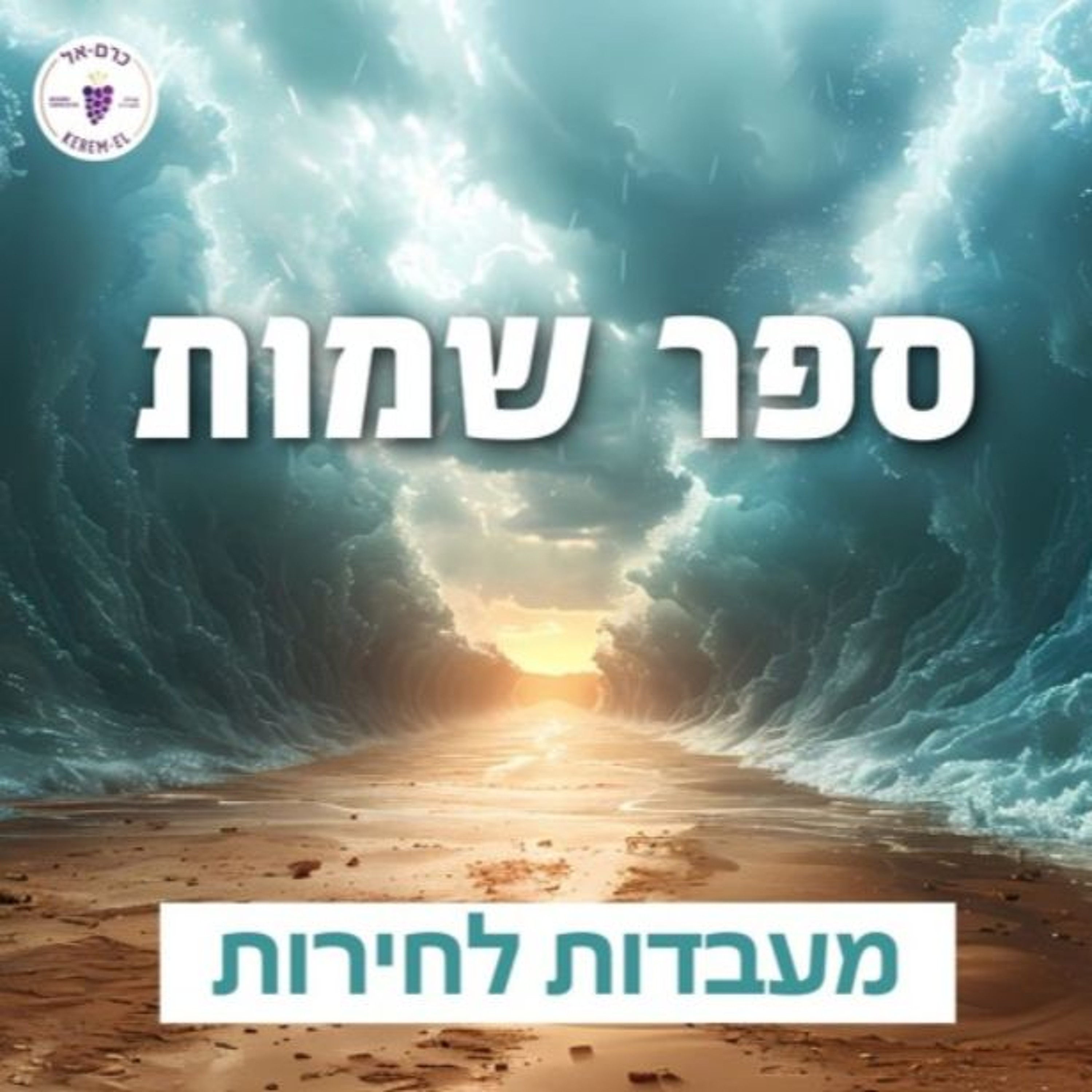 1.3.2025 - שמות פרק ו׳ פס׳ 28 עד פרק ז' פס' 13: ההזדמנות האחרונה של פרעה episode artwork