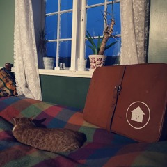 Drivhuset Podcats #22 Helsekatten - Mjau