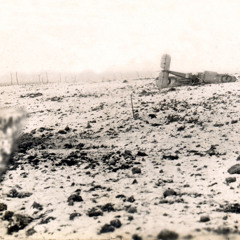 Welcome to wonderland