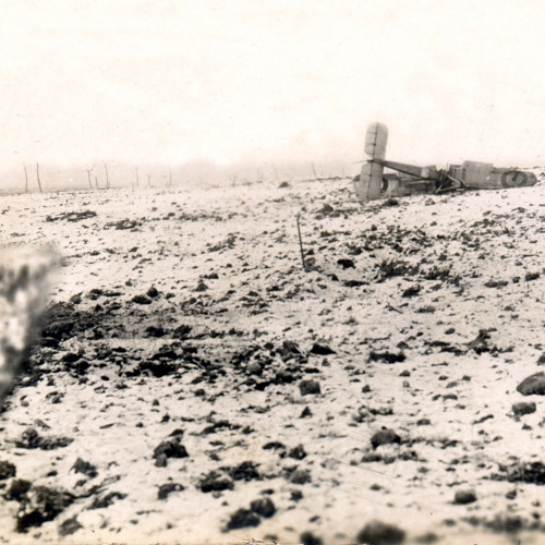 Welcome to wonderland