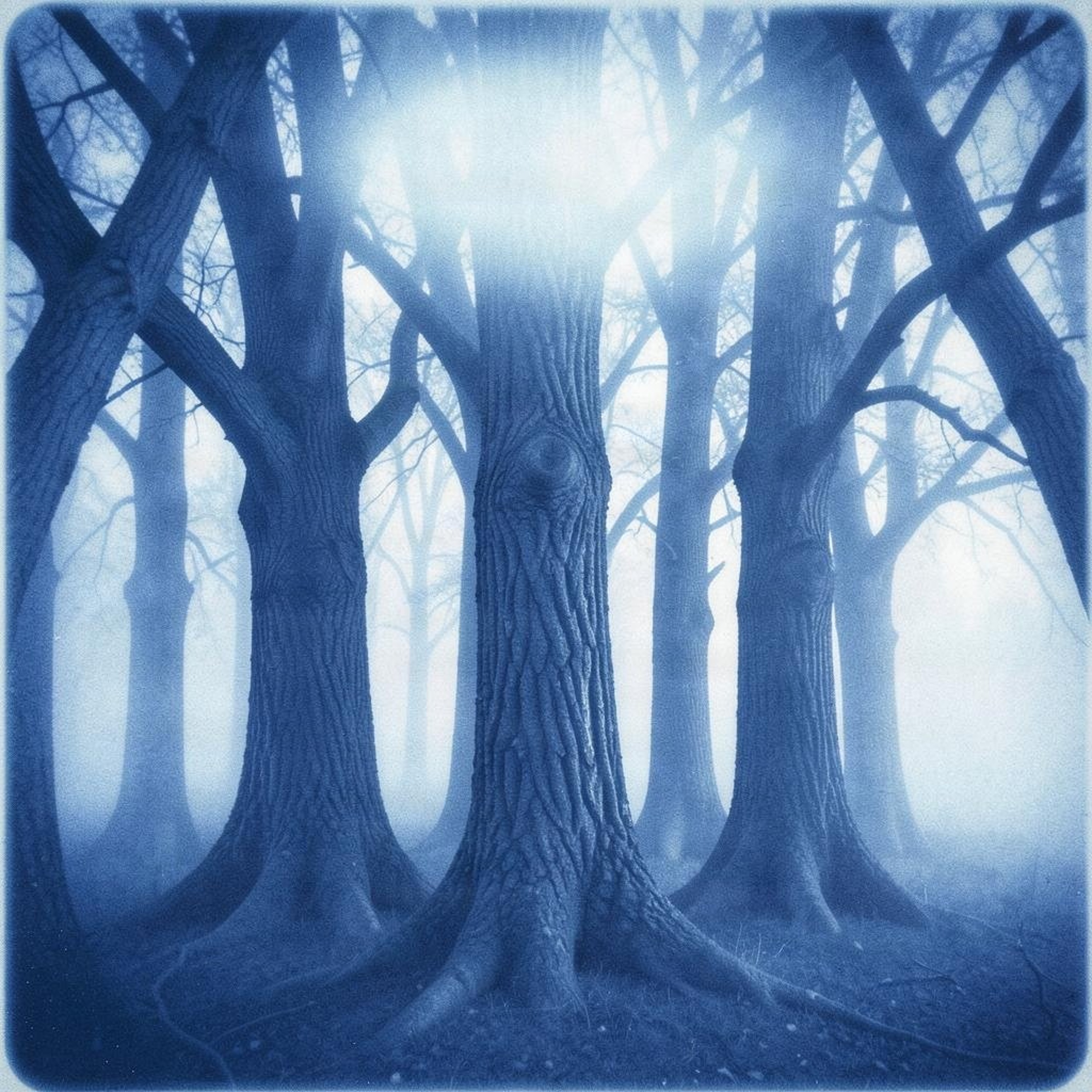 Lost in the Sanctuary episode artwork