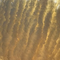 Organic Lounge Live Set 10.30.25 raw recording (Feat. Lady Kiah on trumpet)