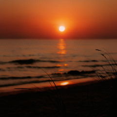 Summer dream - Golden silence