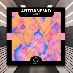 antoanesko - Aware [Lizplay Records] PREMIERE