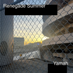 Renegade Summer - 2024 Promo Mix