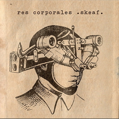 through the mist (2007)