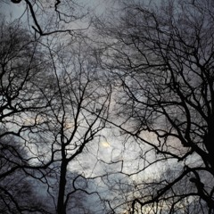 Prezident - Tut Mitunter Weh (Kruego Remix)