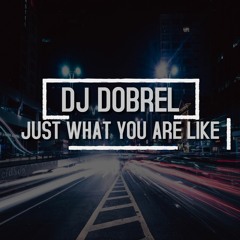 JUST WHAT YOU ARE LIKE