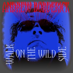 WALK ON THE WILD SIDE (Lou Reed Cover)