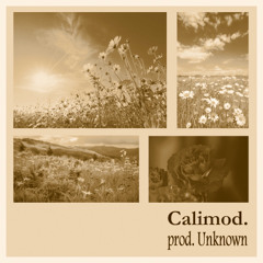 Calimod. (Prod. UnknownProducer_2o1) - beat