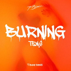 TEMS - BURNING (T-BONE AMAPIANO REMIX)