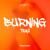 Artwork for TEMS - BURNING (T-BONE AMAPIANO REMIX)