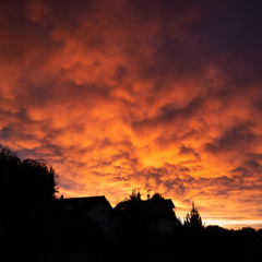 king bro (feat KrasseTasse)