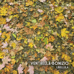 LETTO DI CHIODI (Ventrella - Bonizio)