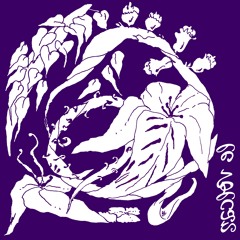 Bulie Jordeaux - Le Volcan ['Visions' album release]