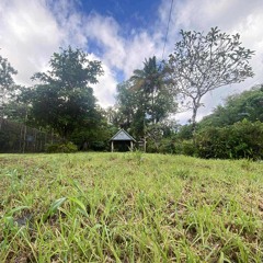 TMC Native (Beritz) .mp3