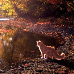 We fell in love in october •speed up• - Girl In Red