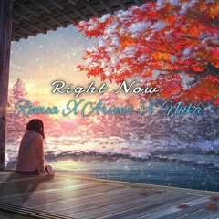 Romea X Arvens X Nuka - RIght Now (Remix 2k21)