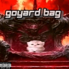 GOYARD BAG