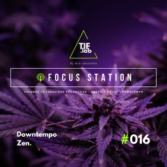 Downtempo Zen #016 - Melodies for the Mind | 🛋️ Deep Focus dj mix session 慢摇