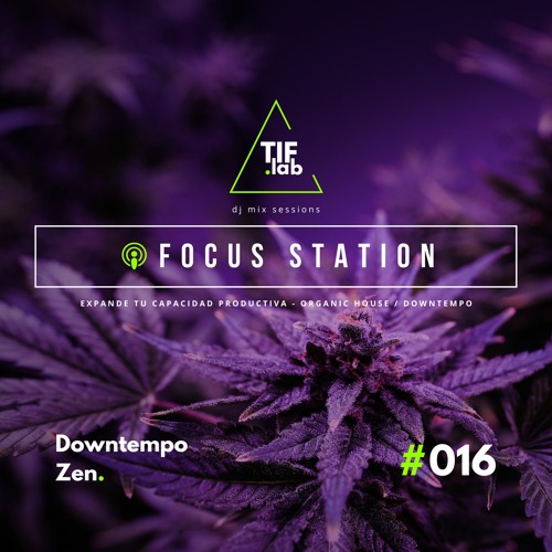 Downtempo Zen #016 - Melodies for the Mind | 🛋️ Deep Focus dj mix session 慢摇