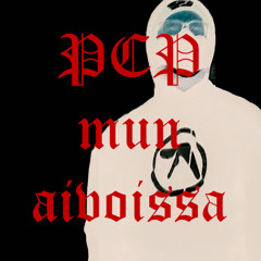 PCP mun avoissa