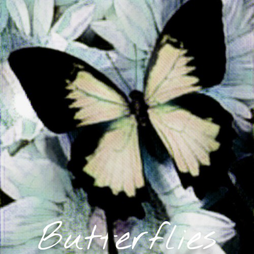 Butterflies (prod. jang0)