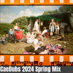 Cae Dubs 2024 Spring Mix