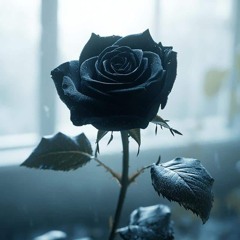 Beyond Your Words • Original Mix
