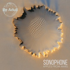 Sonophone - Into My Life (Original Mix)