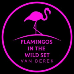 Flamingos In The Wild Set 2022