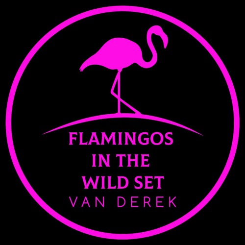 Flamingos In The Wild Set 2022