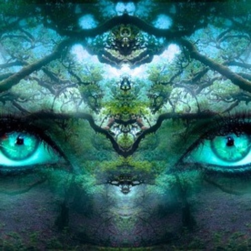 'Forest Dream' mozawa_*=Synline