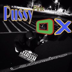 SL1p N SL1de