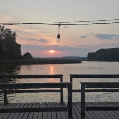 Ravetierfütterung