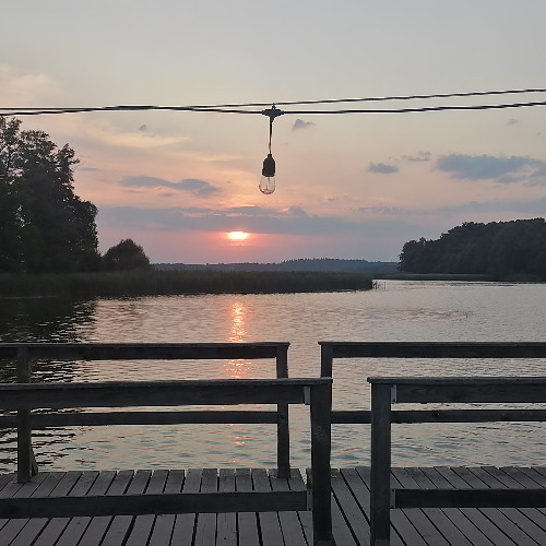 Ravetierfütterung