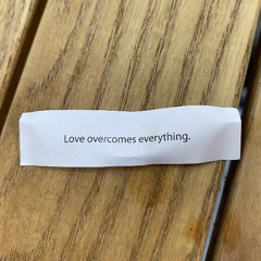 no one noticed - the marias (cover!)