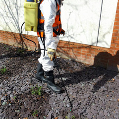 Client Education: What Property Owners Should Know About Weed Spraying