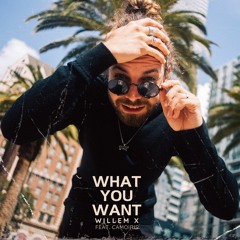 What You Want - Willem X feat. Camoiris